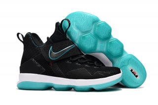 Nike Lebron XIV 14 Noir Bleu