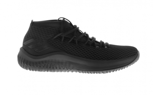 Adidas Damian Lillard IV 4 Noir (bw1518)