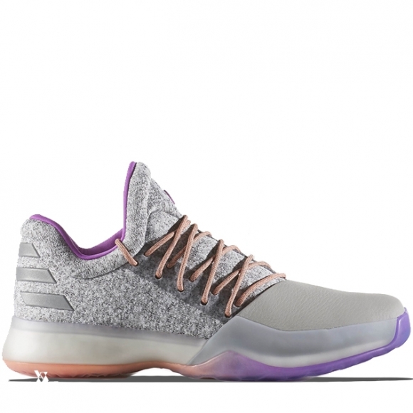 Adidas Harden Vol 1 "No Brakes" Gris Pourpre (bw0549)