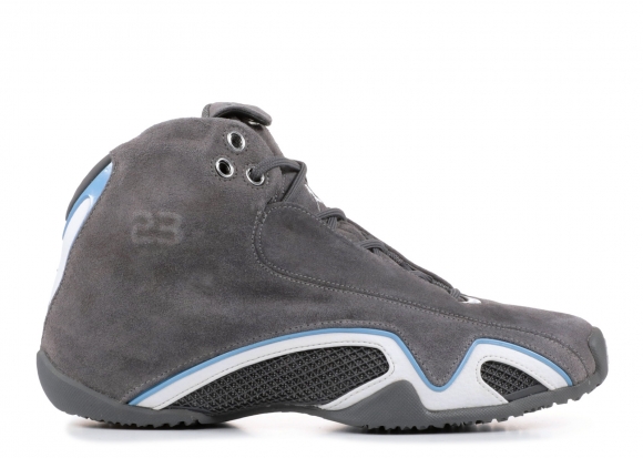 Air Jordan 21 Gris Blanc (313495-002)