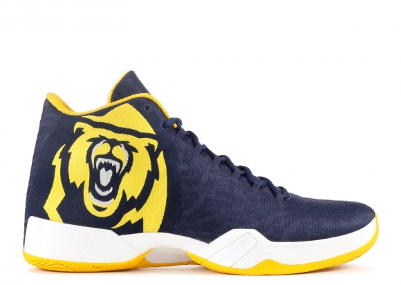 Air Jordan 29 "Cal State Golden Bears" Marine Jaune (bom540042)