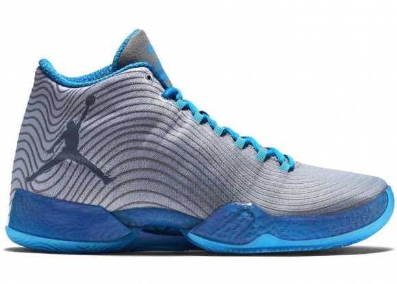 Air Jordan 29 "Playoff Pack Home" Gris Bleu (749143-104)