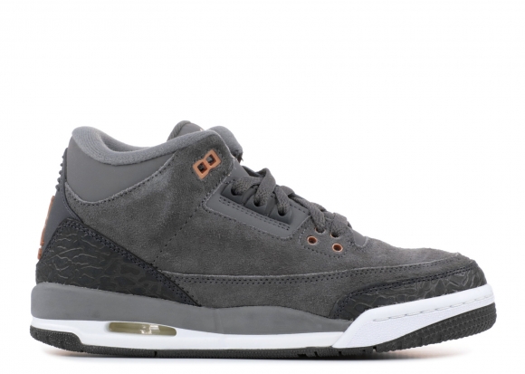 Air Jordan 3 Retro Gg Gris (441140-035)