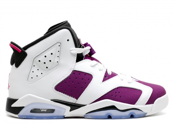 Air Jordan 6 Retro Gg (Gs) Blanc Pourpre (543390-127)