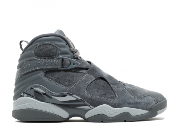 Air Jordan 8 Retro Gris (305381-014)