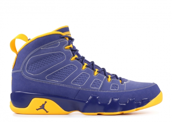 Air Jordan 9 Retro "Calvin Bailey" Pourpre Jaune (302370-445)