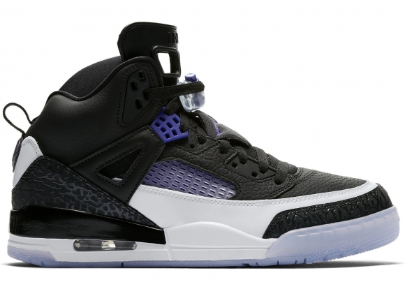 Air Jordan Spiz'Ike "Concord" Noir (315371-005)