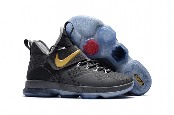 Nike Lebron XIV 14 Gris Or