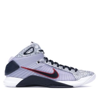 Nike Hyperdunk 08 "United We Rise" (2016) Gris (863301-146)