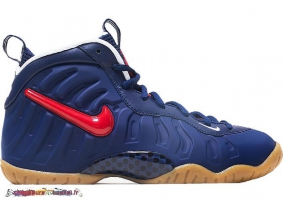 Nike Air Foamposite Pro (Gs) Bleu Rouge (644792-405)