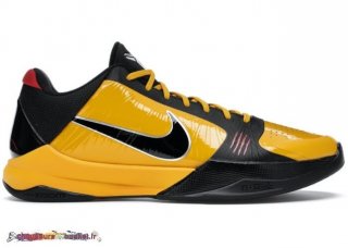 Nike Kobe 5 Protro "Bruce Lee" Métallique Argent (CD4991-700)