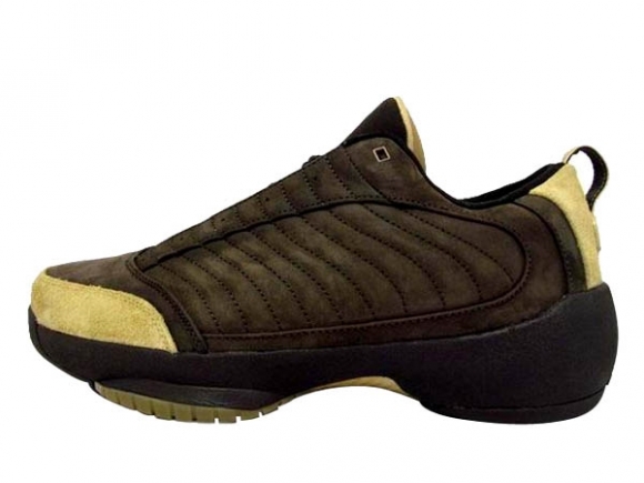 Air Jordan 19 Marron