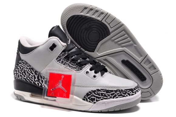 Air Jordan 3 Gris